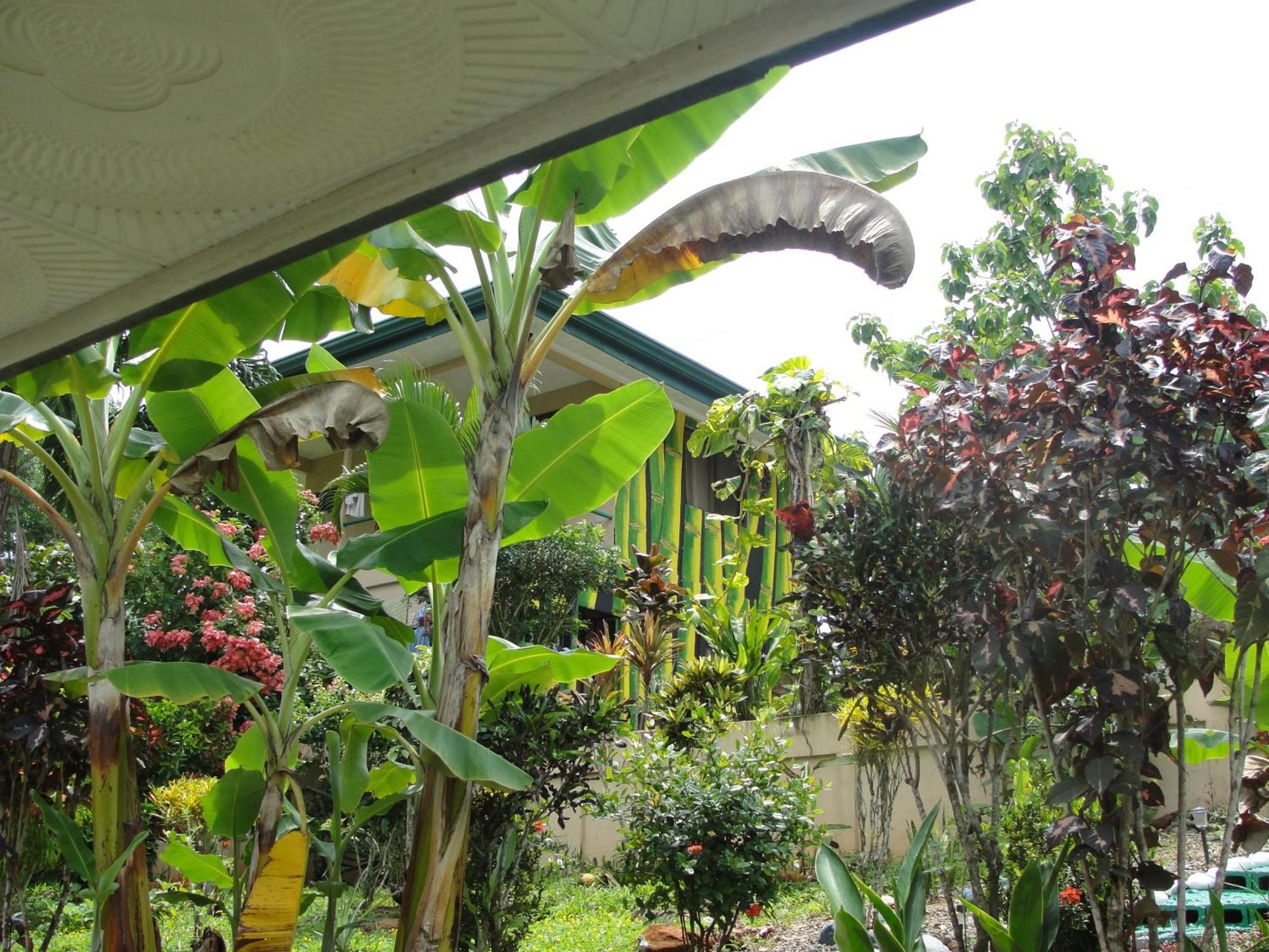 Big Bamboo De Uvita Ngoại thất bức ảnh
