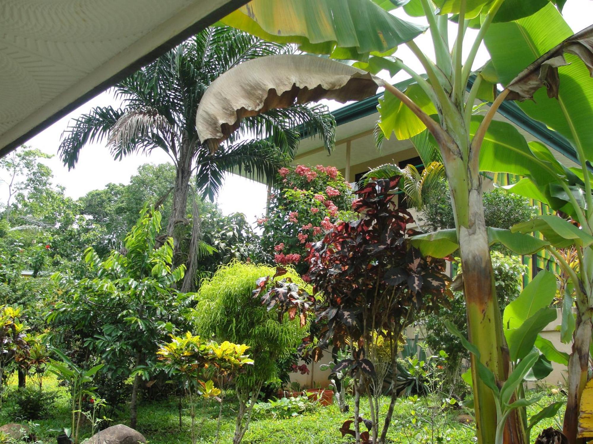 Big Bamboo De Uvita Ngoại thất bức ảnh