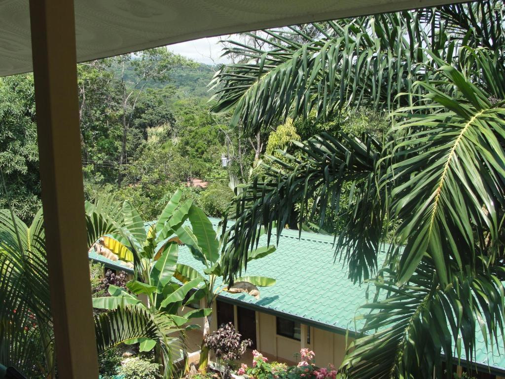 Big Bamboo De Uvita Phòng bức ảnh