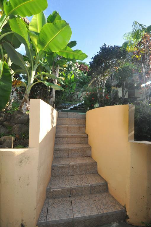 Big Bamboo De Uvita Ngoại thất bức ảnh